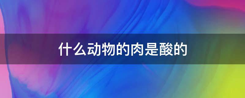 什么动物的肉是酸的 十二生肖什么动物的肉是酸的