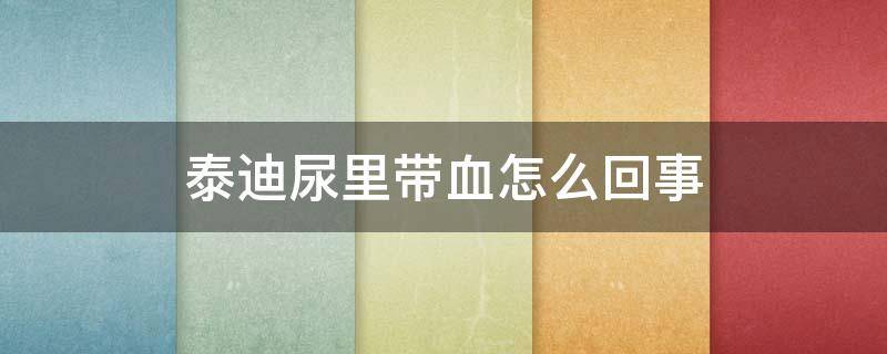 泰迪尿里带血怎么回事（泰迪尿里带血怎么回事小便频繁）