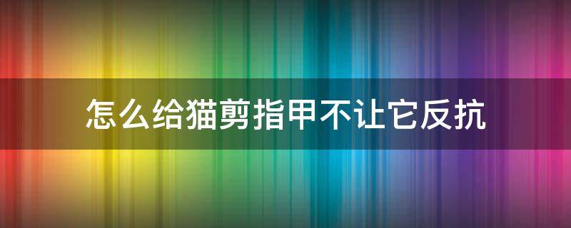 怎么给猫剪指甲不让它反抗（怎么给猫剪指甲不让他反抗）