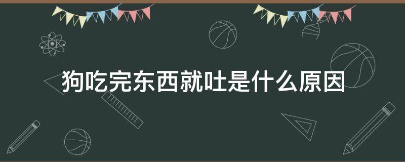 狗吃完东西就吐是什么原因 狗吃完东西就吐是什么原因还没精神