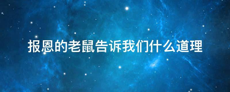 报恩的老鼠告诉我们什么道理（报恩的老鼠这个故事告诉我们什么）