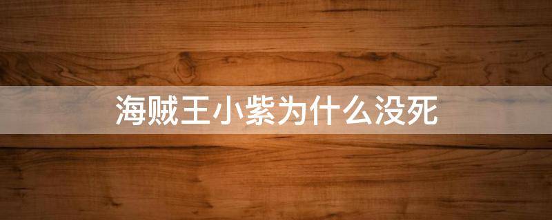 海贼王小紫为什么没死 海贼王小紫假死