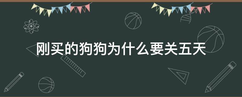 刚买的狗狗为什么要关五天 为什么狗狗买回来要关几天