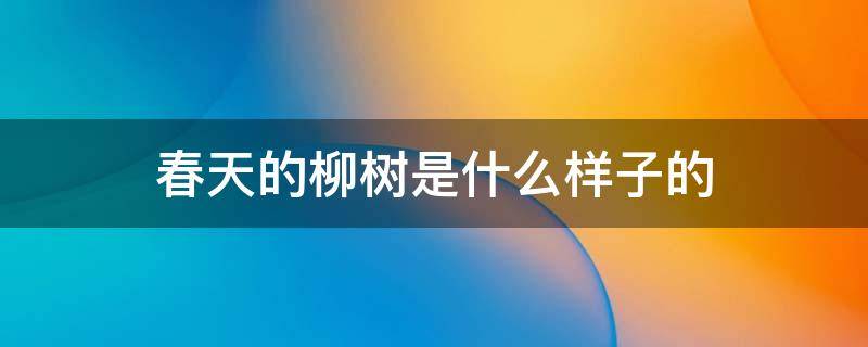 春天的柳树是什么样子的（春天的柳树是什么样子的作文）