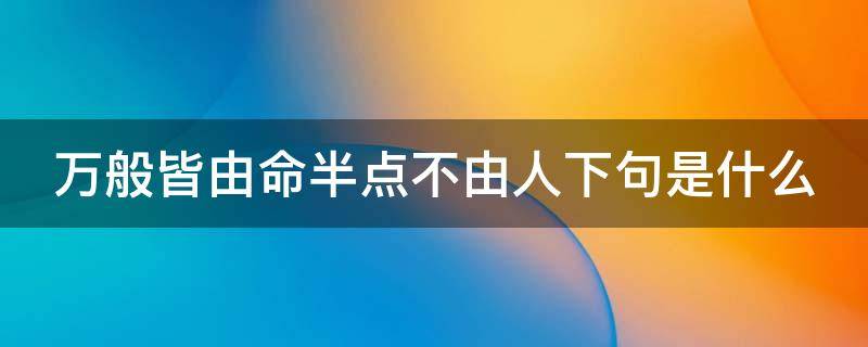 万般皆由命半点不由人下句是什么（万般皆由命半点不由人下句是什么意思）