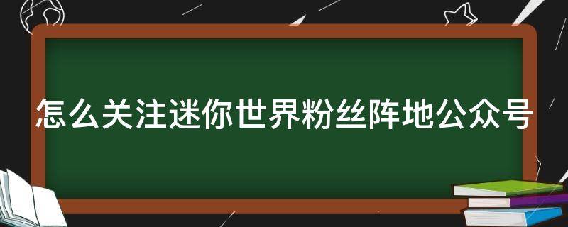 怎么关注迷你世界粉丝阵地公众号（迷你世界粉丝阵地在哪里）