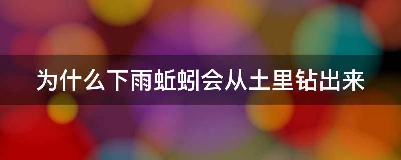 为什么下雨蚯蚓会从土里钻出来 为什么下雨蚯蚓会跑出来