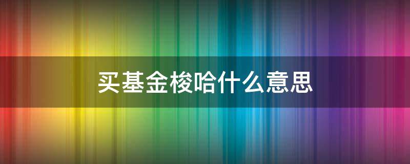 买基金梭哈什么意思 买基金全部梭哈是什么意思