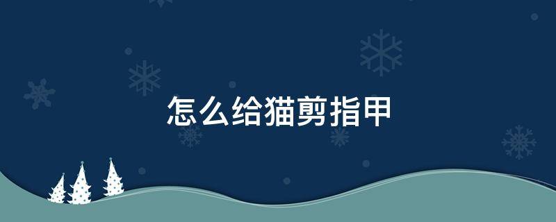 怎么给猫剪指甲 自己在家怎么给猫剪指甲