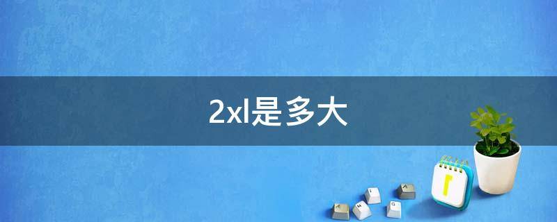 2xl是多大（2xl是多大尺码裤子）