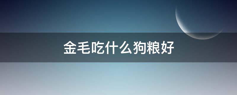 金毛吃什么狗粮好（金毛吃什么狗粮好一点）