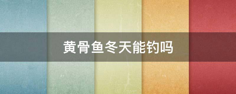 黄骨鱼冬天能钓吗 秋冬季怎样钓黄骨鱼