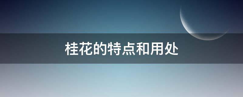 桂花的特点和用处 桂花的特点和用处是什么