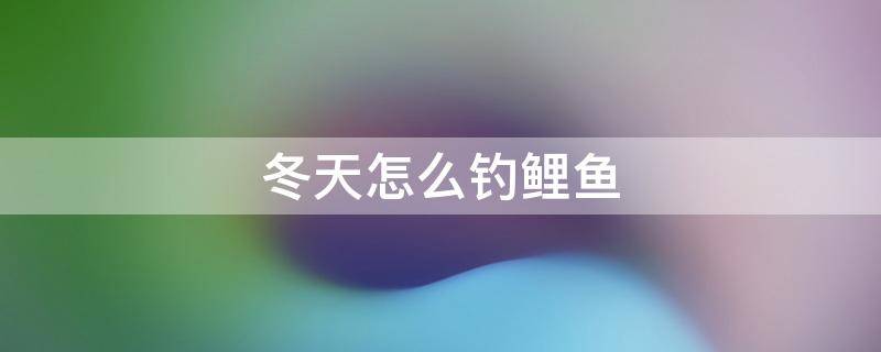 冬天怎么钓鲤鱼 冬天怎么钓鲤鱼视频