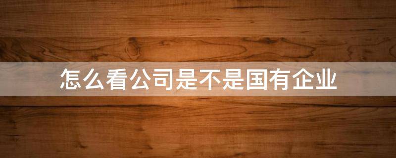 怎么看公司是不是国有企业（怎样看是不是国有企业）