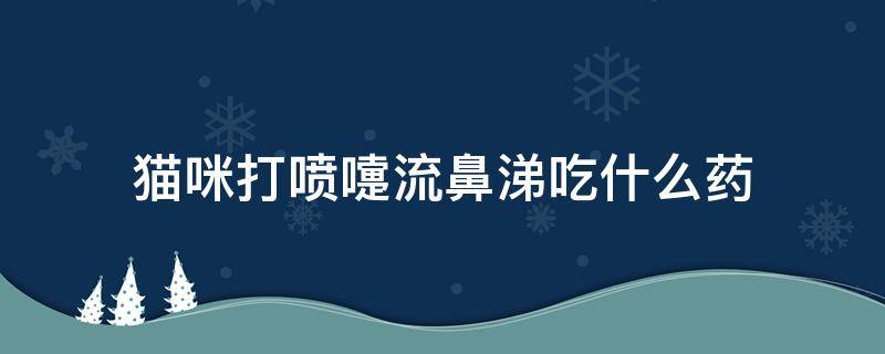 猫咪打喷嚏流鼻涕吃什么药（猫咪打喷嚏流鼻涕吃什么药效果好）