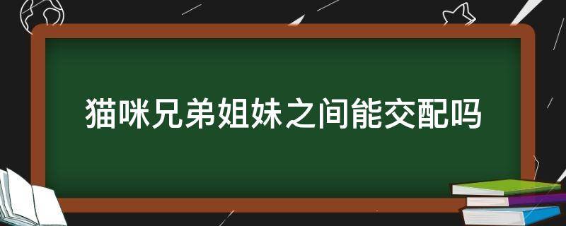 猫咪兄弟姐妹之间能交配吗（猫兄妹俩可以繁殖吗）