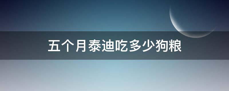 五个月泰迪吃多少狗粮（五个月泰迪吃多少狗粮 一次性纸杯）