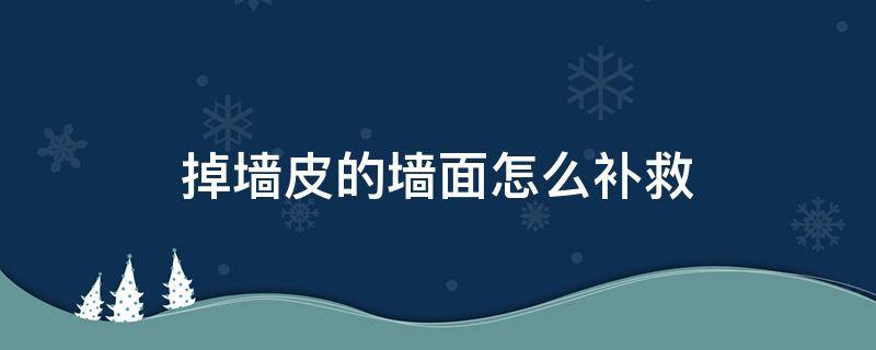 掉墙皮的墙面怎么补救 墙体掉皮如何补救