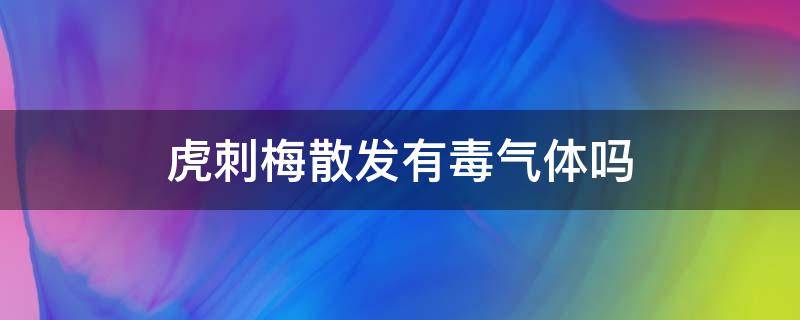 虎刺梅散发有毒气体吗 虎刺梅放出的气体