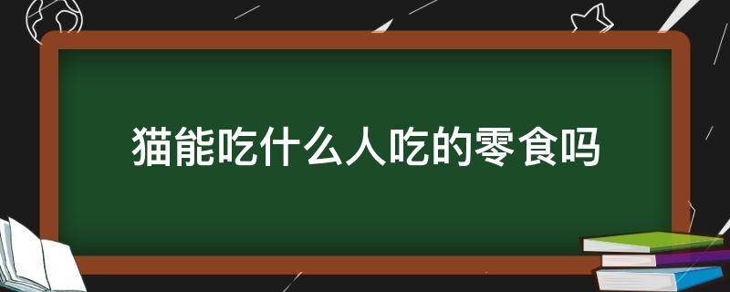 猫能吃什么人吃的零食吗 猫可以吃些什么人的零食