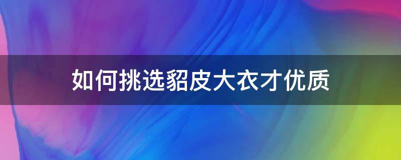 如何挑选貂皮大衣才优质 怎么样挑貂皮大衣