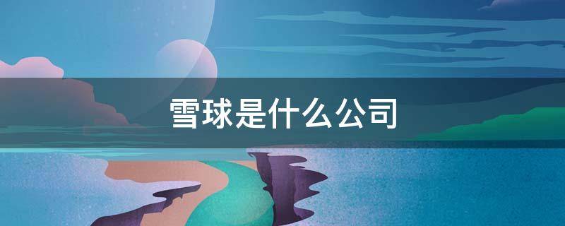 雪球是什么公司（雪球是什么公司在运营的）