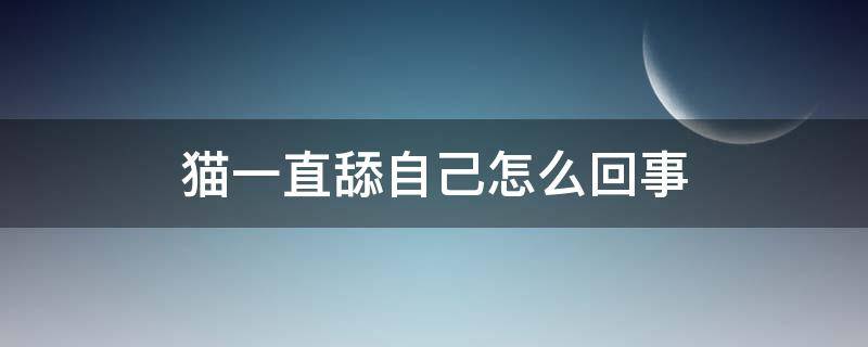 猫一直舔自己怎么回事（猫一直舔自己怎么回事还吐舌头）