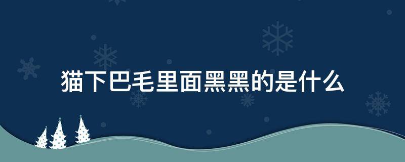 猫下巴毛里面黑黑的是什么 小猫下巴毛里面有很黑黑的