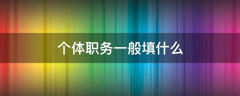 个体职务一般填什么 个体职务填写什么