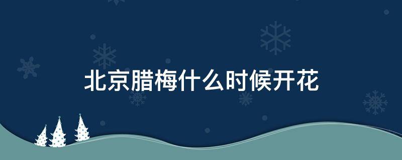 北京腊梅什么时候开花 北京腊梅几月开