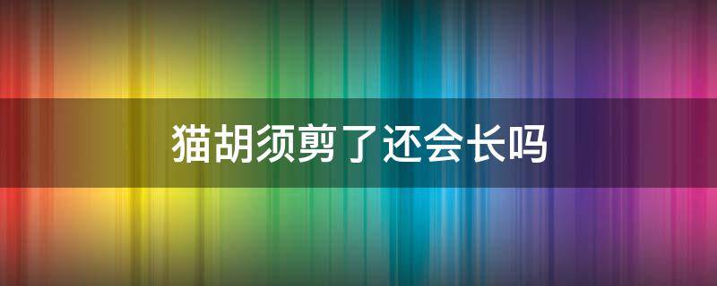 猫胡须剪了还会长吗 猫胡须被剪了还能长吗