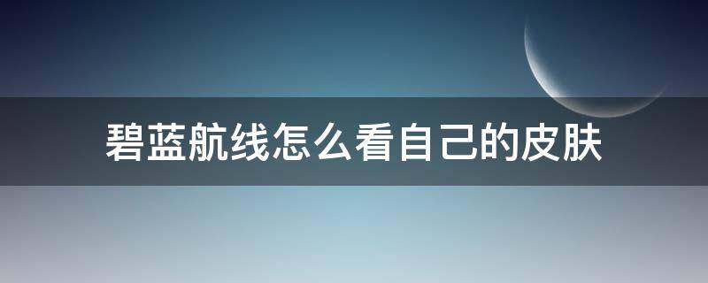 碧蓝航线怎么看自己的皮肤（碧蓝航线怎么看自己有的皮肤）