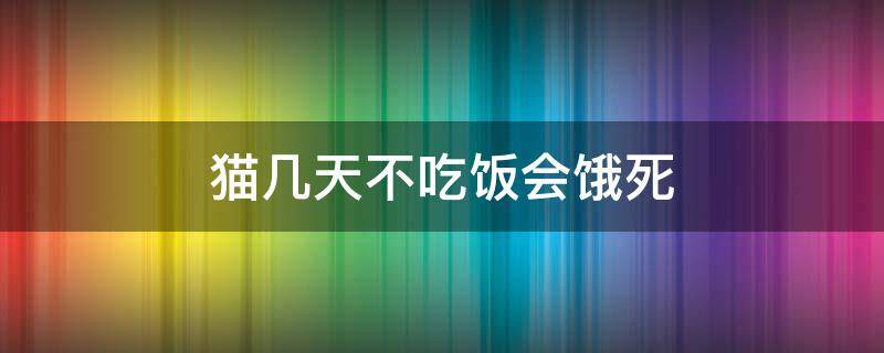 猫几天不吃饭会饿死（两个月猫几天不吃饭会饿死）