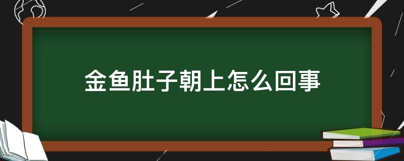 金鱼肚子朝上怎么回事 金鱼肚子朝上