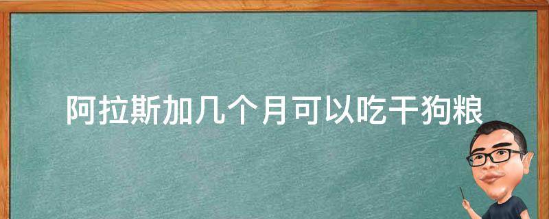 阿拉斯加几个月可以吃干狗粮（一个半月的阿拉斯加吃多少狗粮）