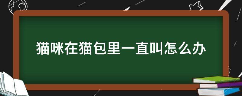 猫咪在猫包里一直叫怎么办（猫在猫包里面一直叫怎么办）