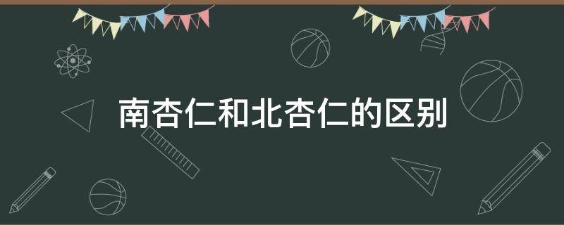 南杏仁和北杏仁的区别 南杏仁和北杏仁的区别与功效