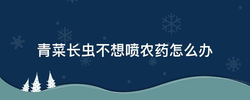 青菜长虫不想喷农药怎么办（青菜虫不用农药怎样治）