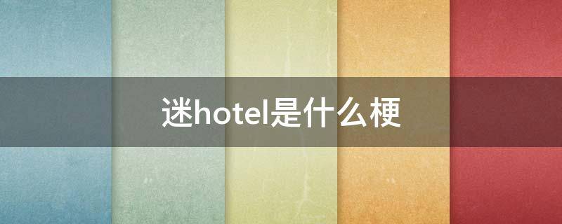 迷hotel是什么梗 迷hotel是什么意思英语