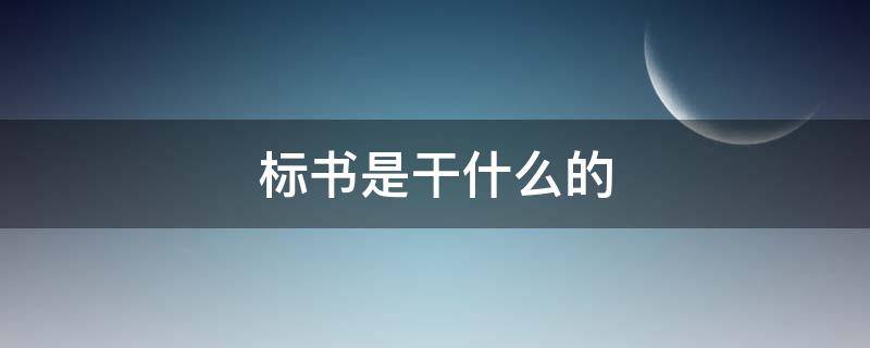 标书是干什么的 标书是什么工作