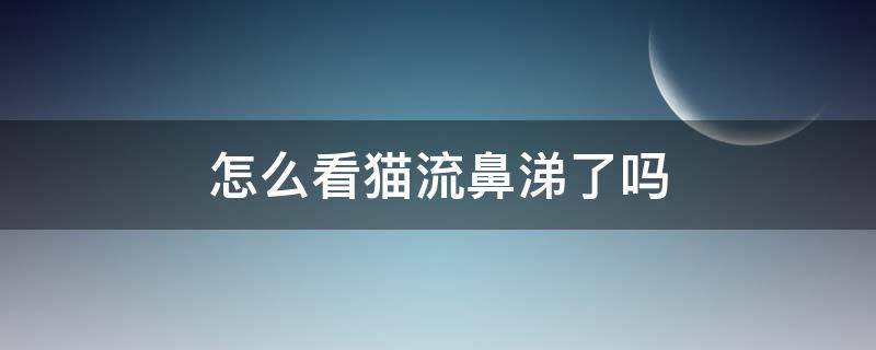 怎么看猫流鼻涕了吗（怎么判断猫流鼻涕）