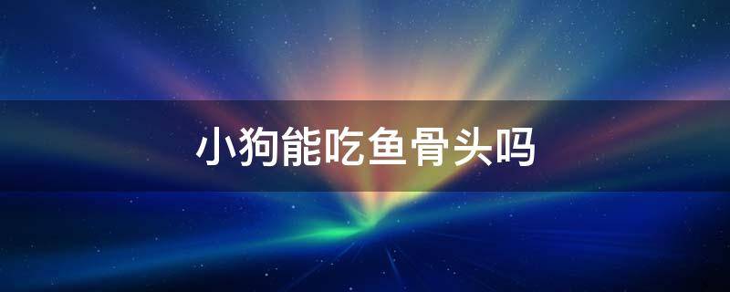 小狗能吃鱼骨头吗（狗狗能不能吃鱼骨头）