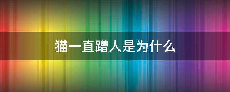 猫一直蹭人是为什么 猫为啥一直蹭人