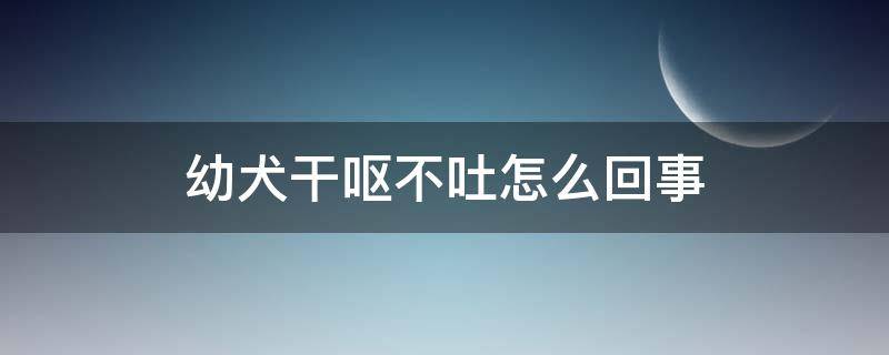 幼犬干呕不吐怎么回事 幼犬干呕不吐怎么回事,还有鼻涕