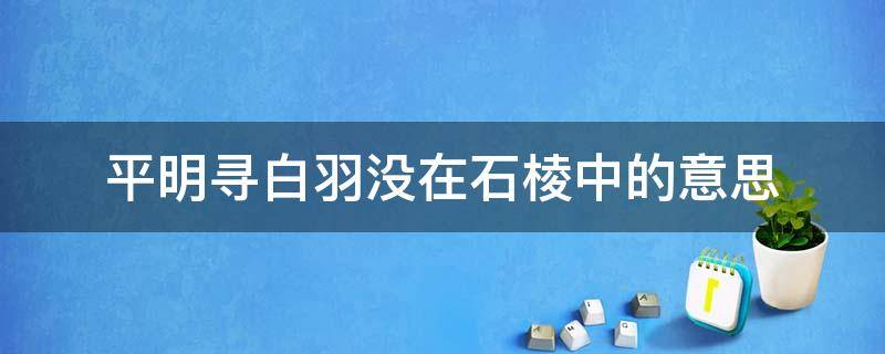 平明寻白羽没在石棱中的意思（平明寻白羽没在石棱中的上一句）