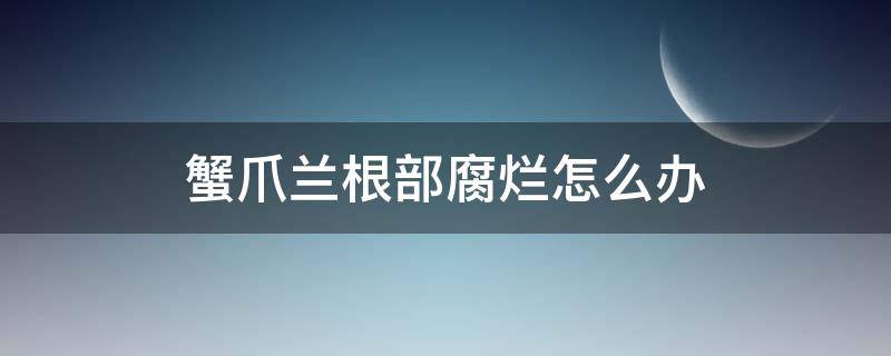 蟹爪兰根部腐烂怎么办（蟹爪兰根部腐烂怎么回事）