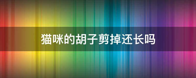 猫咪的胡子剪掉还长吗 猫咪的胡子能剪掉吗