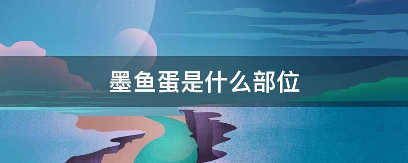 墨鱼蛋是什么部位（墨鱼蛋是哪个部位）