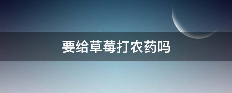 要给草莓打农药吗 草莓到底打不打农药